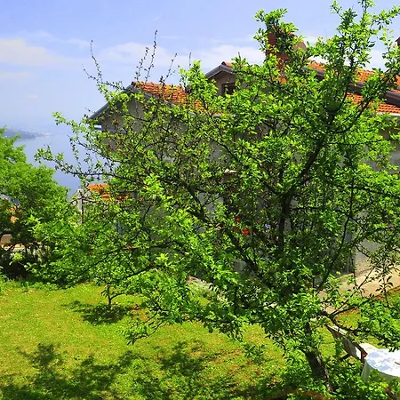 Bellavista 3*